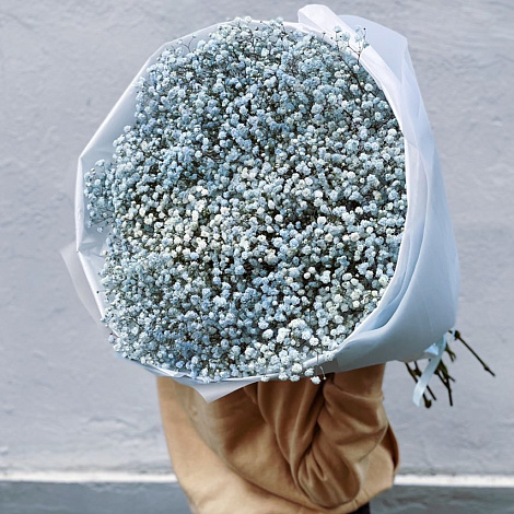 Букет из гипсофилы