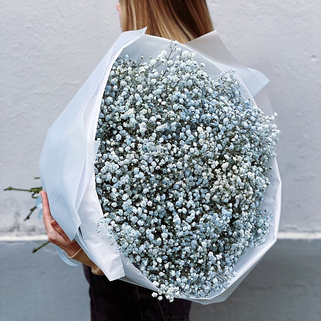 Букет из гипсофилы