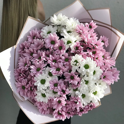 Букет из 15 кустовых хризантем