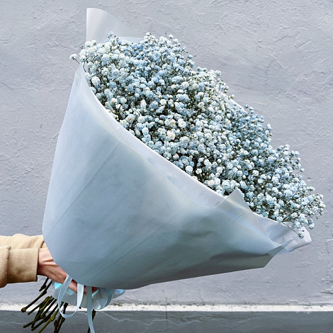 Букет из гипсофилы