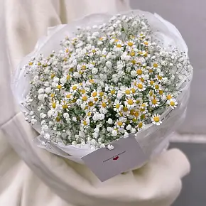 Букет из гипсофилы и танацетума