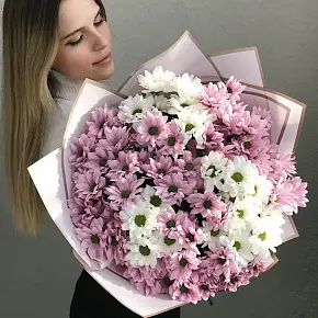 Букет из 15 кустовых хризантем
