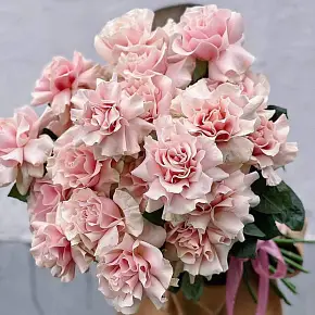 Букет из 19 французских роз