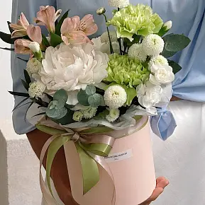 Композиция Sofia