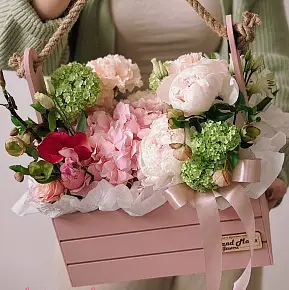 Композиция San-Diego