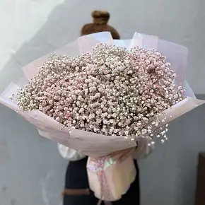 Букет из гипсофилы