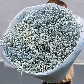 Букет из гипсофилы