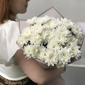 Букет из 5ти кустовых хризантем
